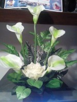 calas con rosa blanca